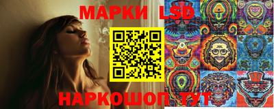 шишки Дмитров