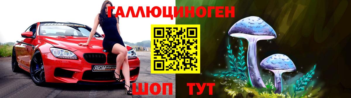 Псилоцибиновые грибы Psilocybe  Вход с VPN  как найти наркотики  Димитровград  Галлюциногенные грибы прущие грибы 